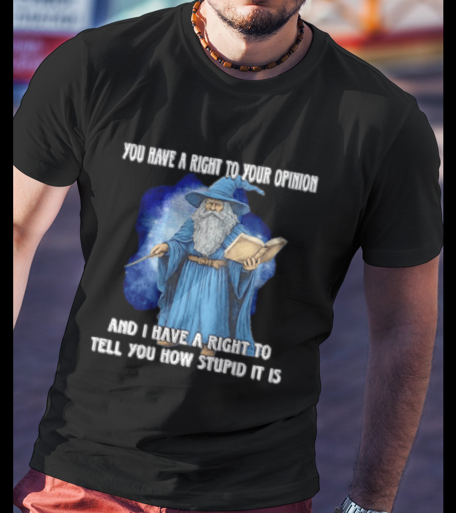 Wizard You Have A Right To Your Opinion And I Have A Right To Tell You How Stupid It Is T-Shirt