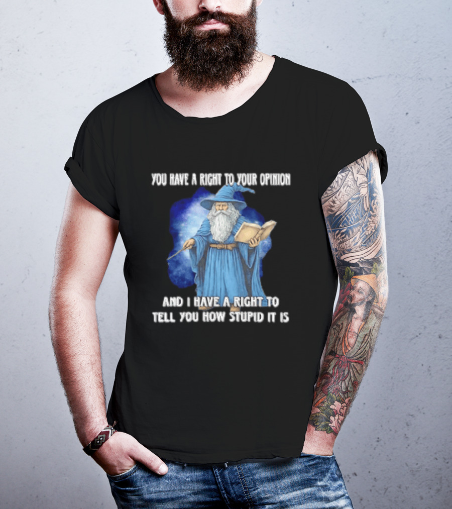 Wizard You Have A Right To Your Opinion And I Have A Right To Tell You How Stupid It Is T-Shirt