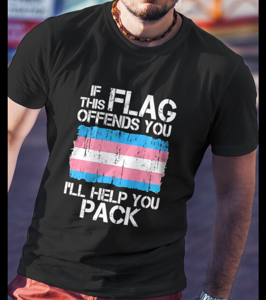 I'm Kind Of A Big Teel Kyle Teel Chicago White Sox This Flag Offends You I'll Help You Pack T-Shirt