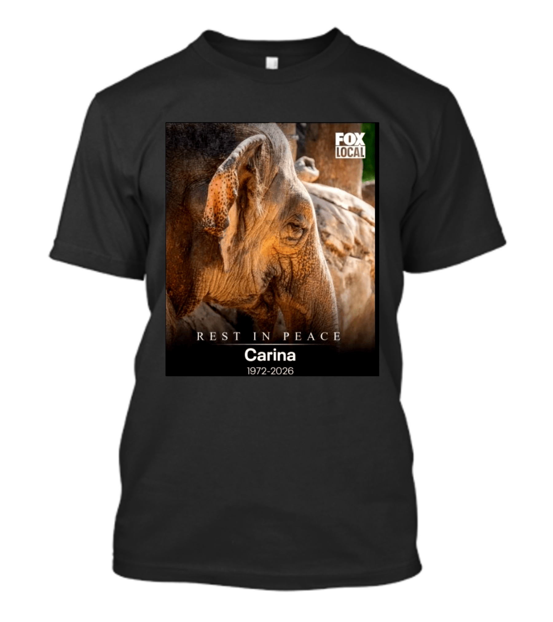 Rest In Peace Carina 1972 2026 Elephant Fox Local Memorial T-Shirt