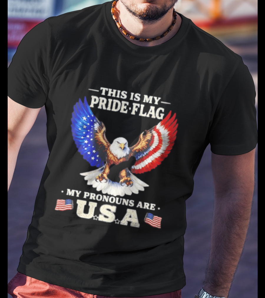 This Is My Pride Flag American Eagle My Pronouns Are USA T-Shirt