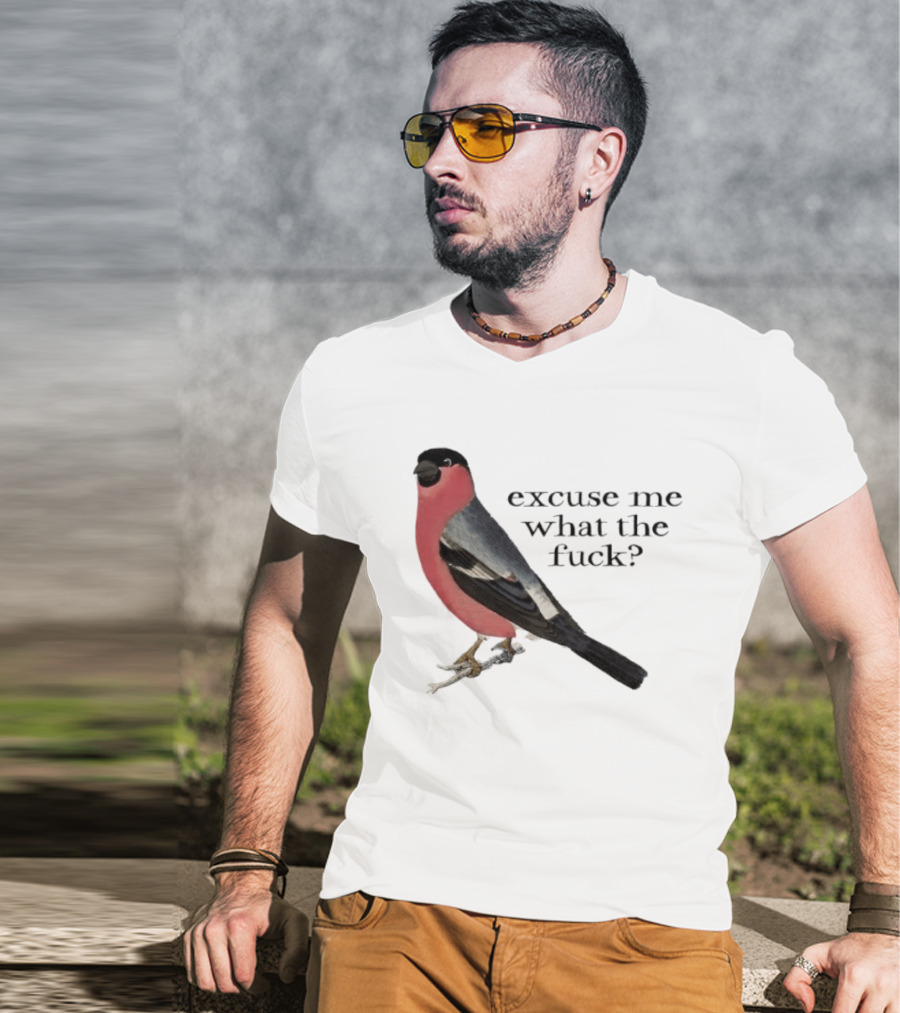 Eurasian Bullfinch Bird Excuse Me What The Fuck T-Shirt
