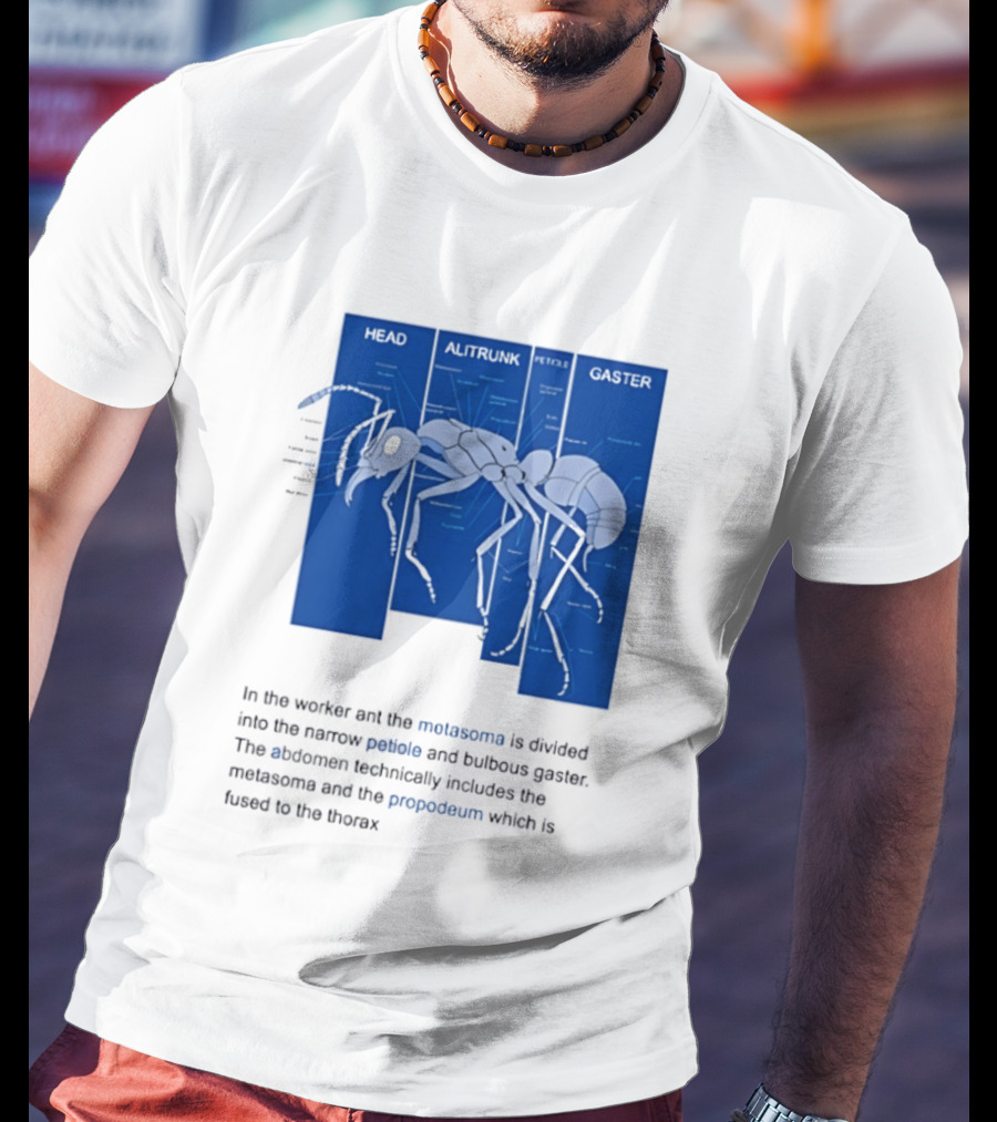 Worker Ant Diagram Head Alitrunk Gaster Metasoma Petiole Biology T-Shirt