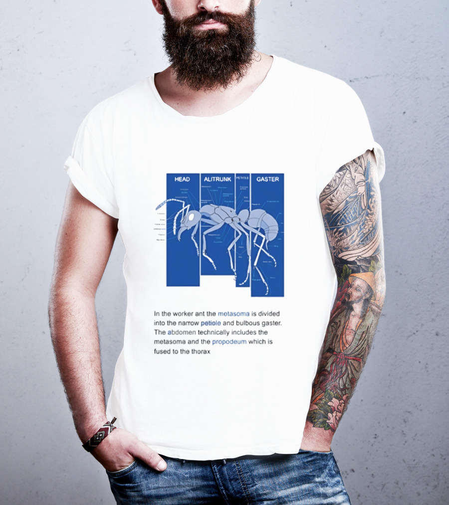 Worker Ant Diagram Head Alitrunk Gaster Metasoma Petiole Biology T-Shirt