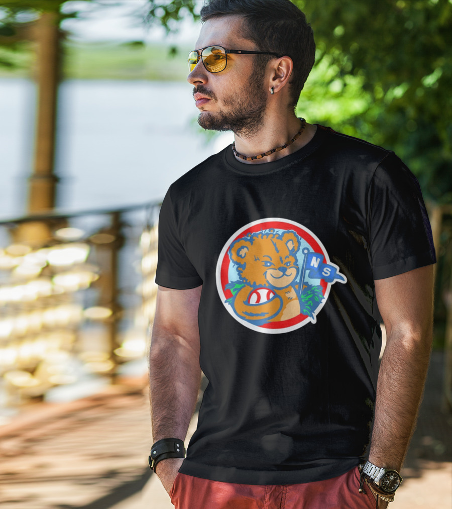 Teddy Bear Holding Baseball NS Pennant Circle T-Shirt