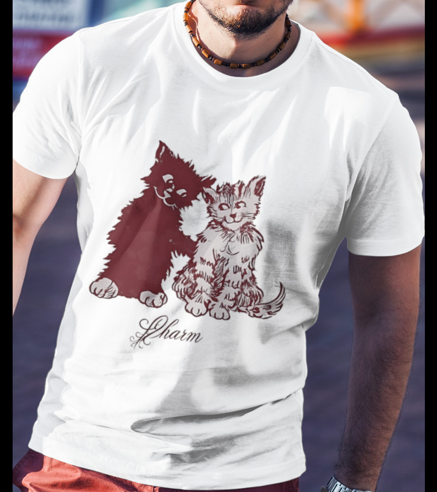 Charm Kittens Cats Hugging T-Shirt