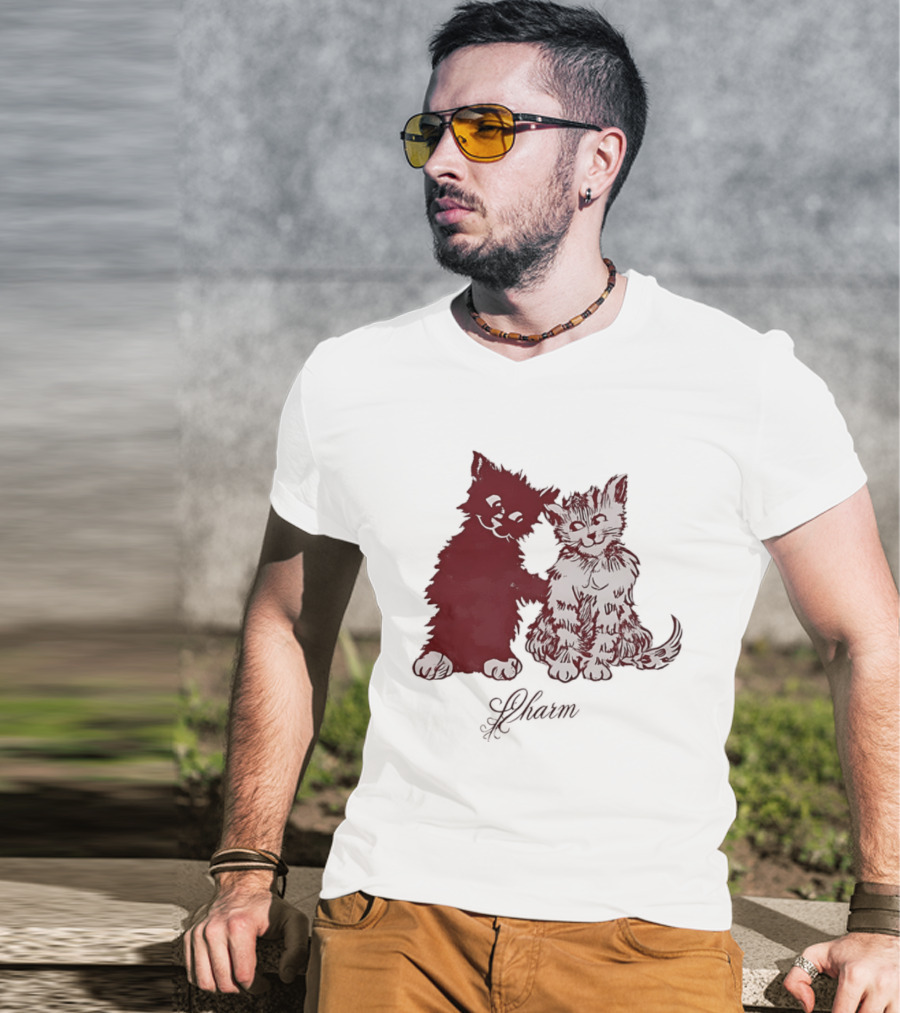 Charm Kittens Cats Hugging T-Shirt