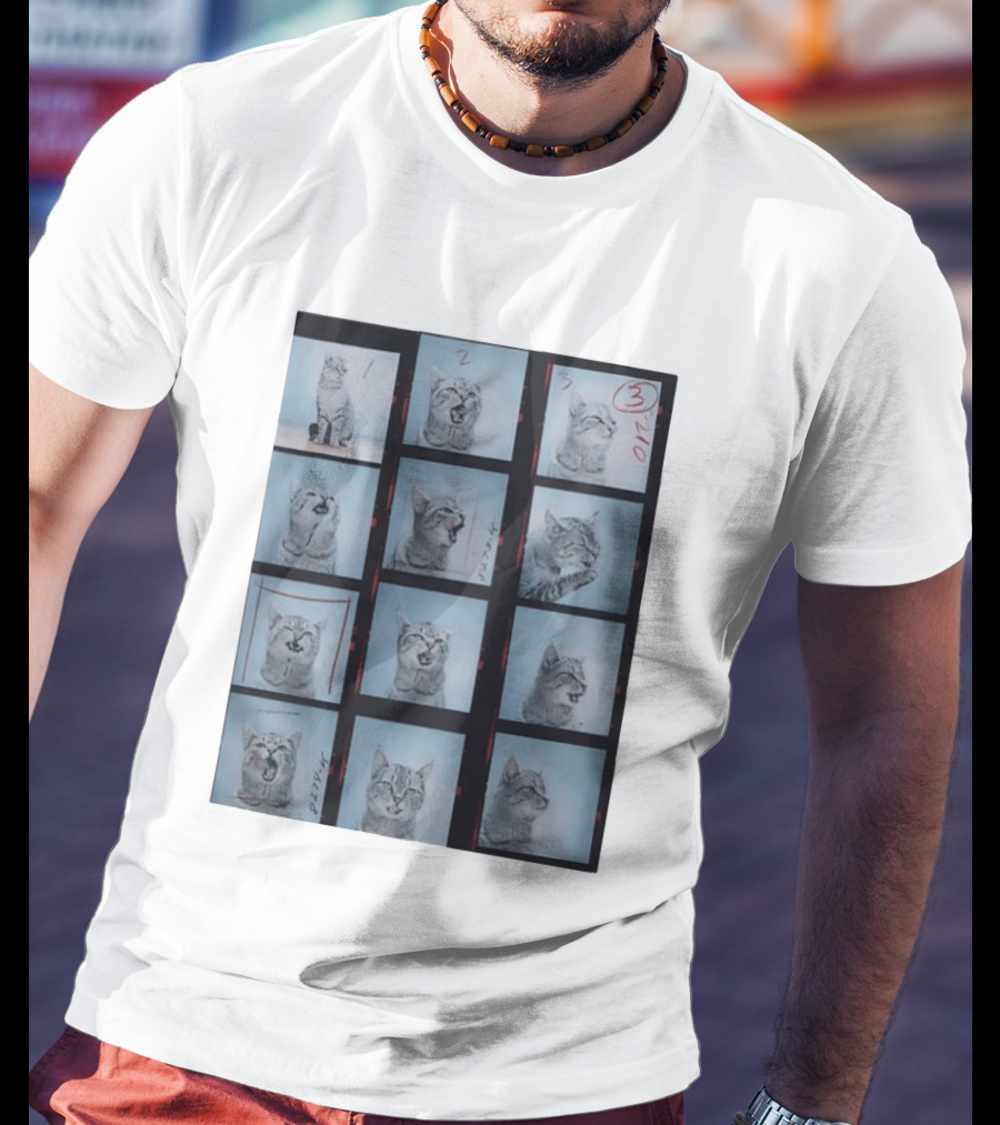 Tabby Cat Film Strip Series With Numbered Frames And Annotations T-Shirt
