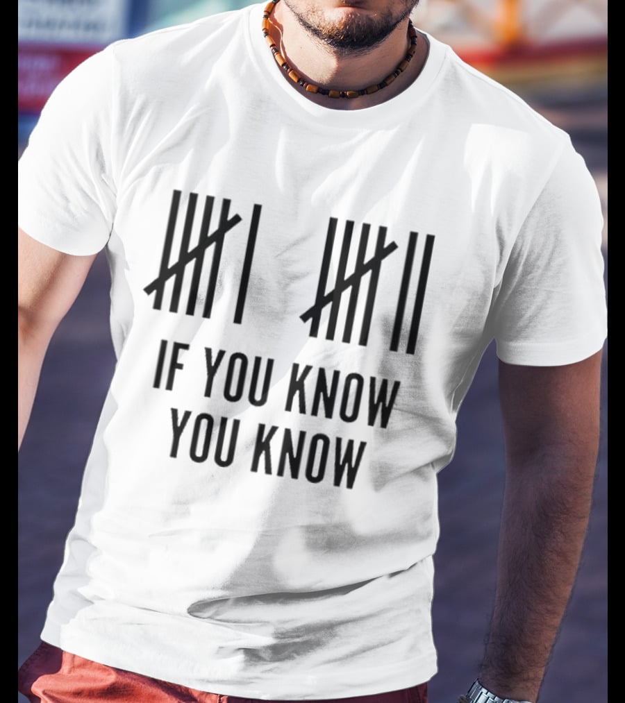 Classic Six Seven Tally Marks If You Know You Know T-Shirt