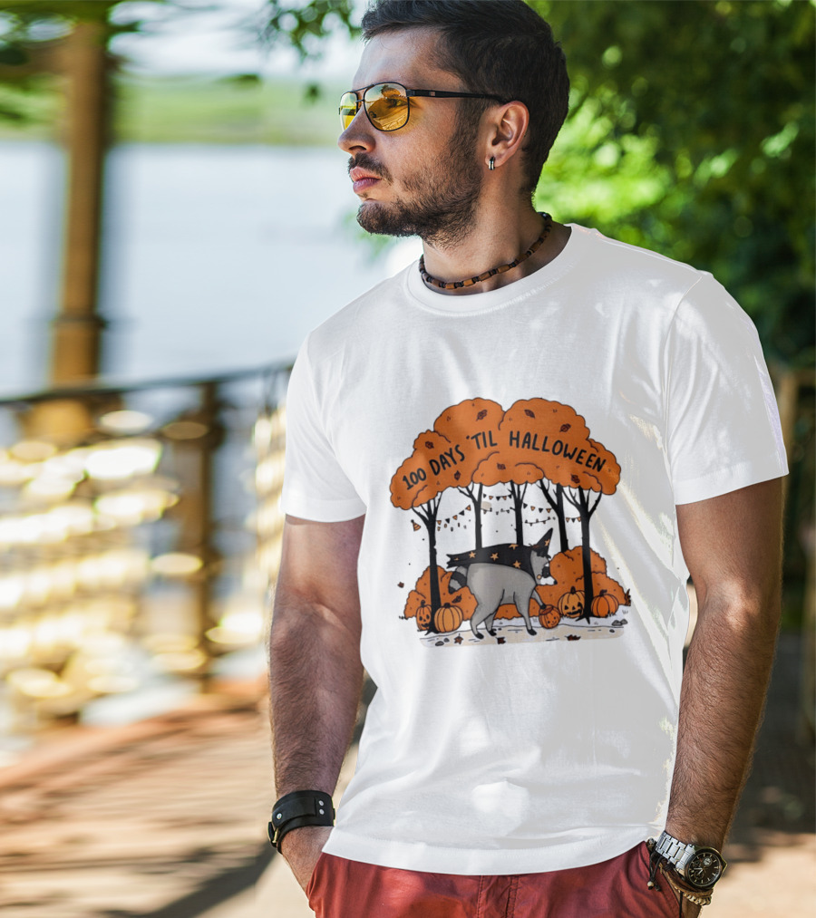 100 Days 'til Halloween Raccoon Wizard Costume In Pumpkin Patch Forest T-Shirt