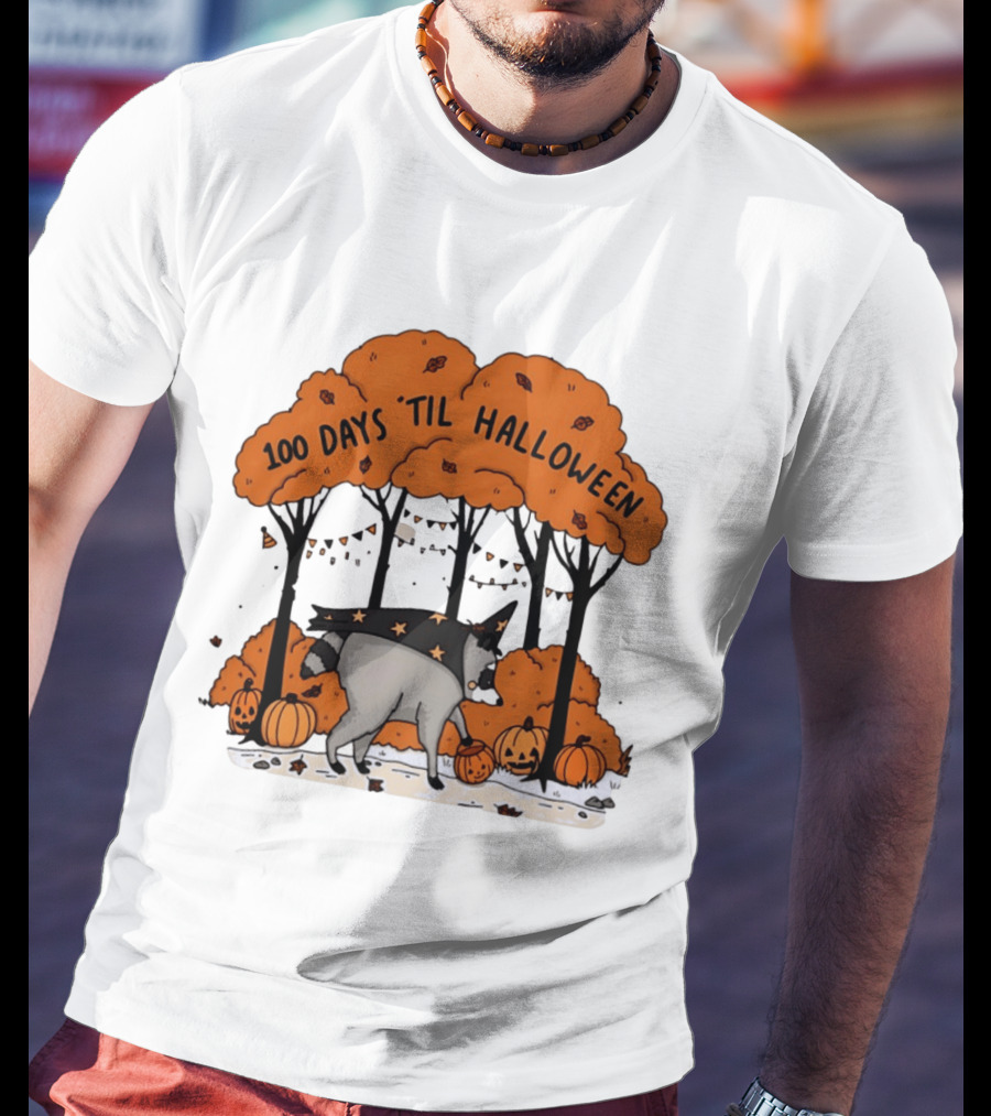 100 Days 'til Halloween Raccoon Wizard Costume In Pumpkin Patch Forest T-Shirt