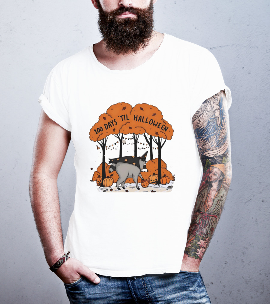 100 Days 'til Halloween Raccoon Wizard Costume In Pumpkin Patch Forest T-Shirt