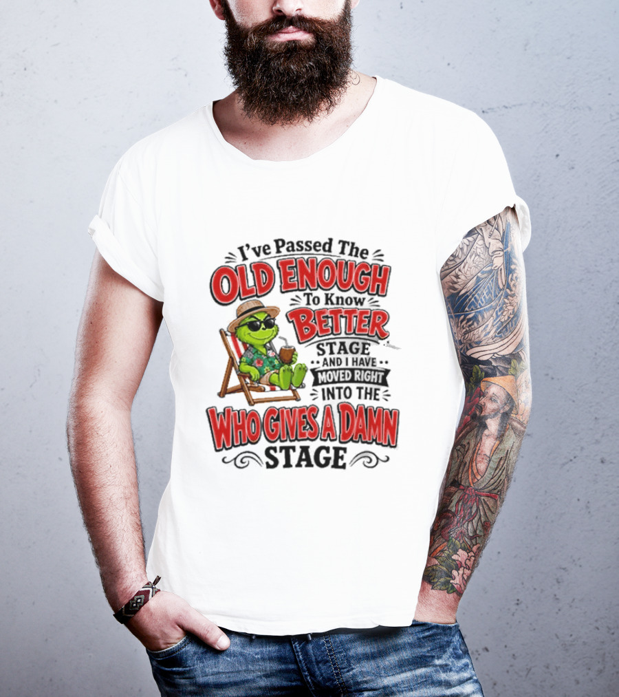 I've Passed Into The Grinch Old Enough To Know Better Who Gives A Damn Stage T-Shirt