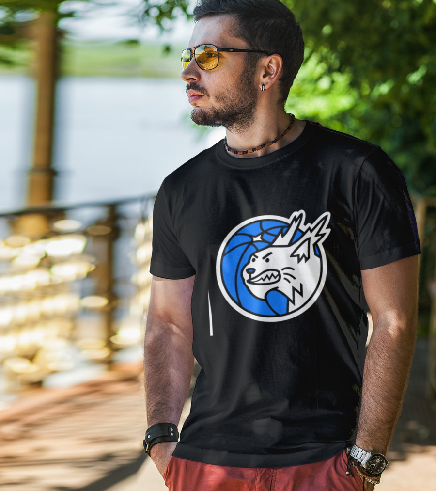Minnesota Lynx Basketball WNBA Team T-Shirt