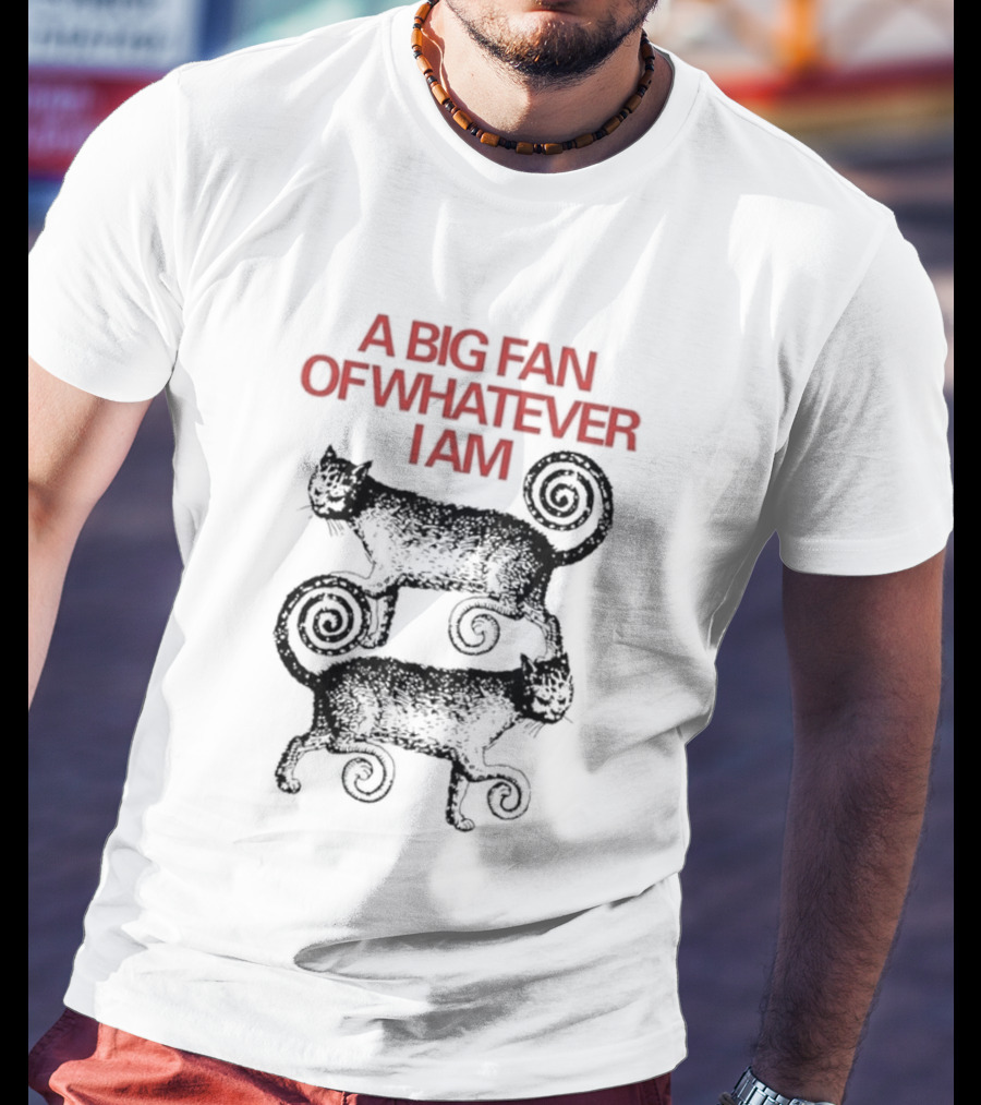 A Big Fan Of Whatever I Am Spiral Cats T-Shirt