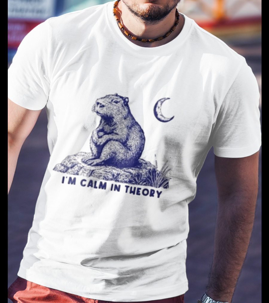 I'm Calm In Theory Capybara Sitting On Rock Under Crescent Moon T-Shirt