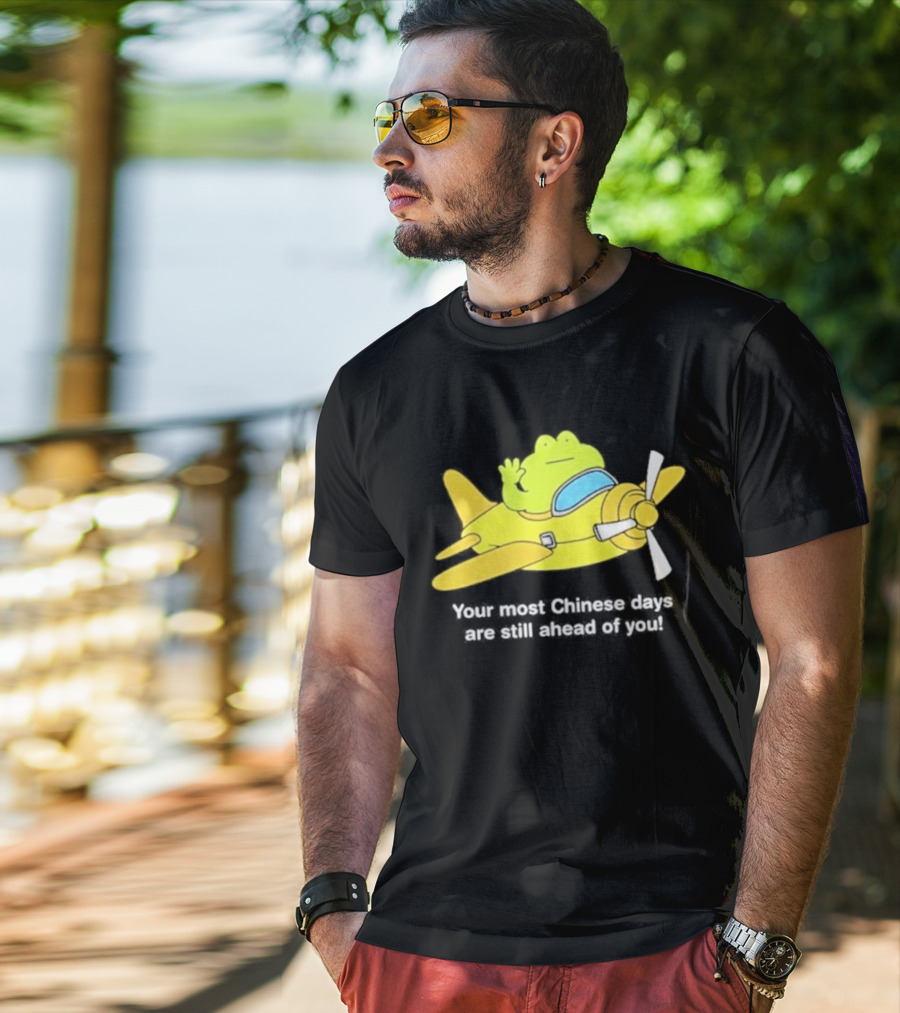 Frog Your Most Chinese Days Are Still Ahead Of You Airplane Scene T-Shirt