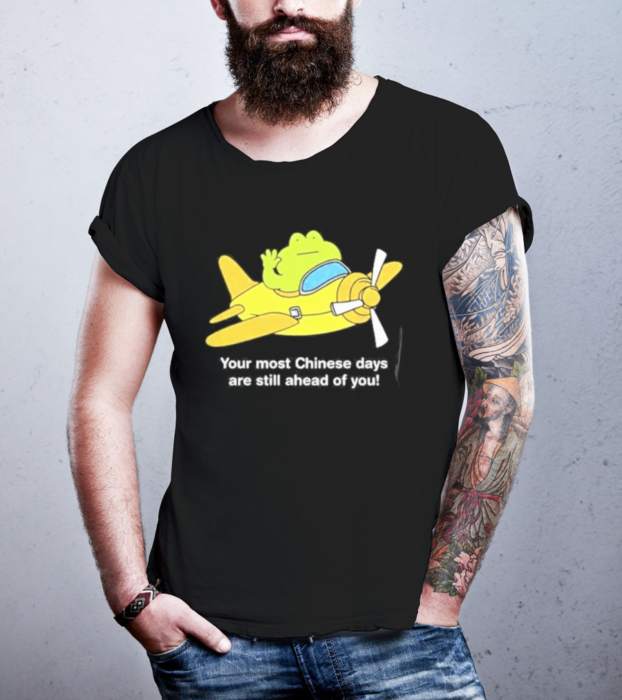 Frog Your Most Chinese Days Are Still Ahead Of You Airplane Scene T-Shirt