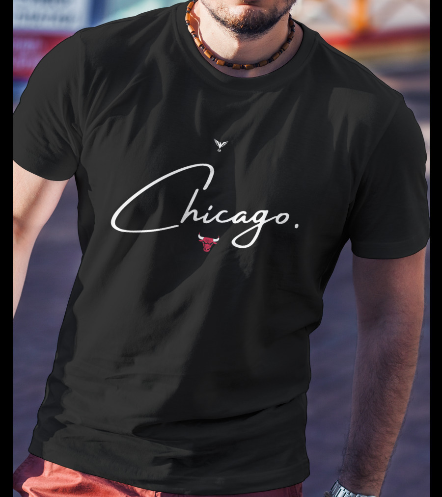 Chicago Bulls Aawol Chicago Bulls Logo Iconic T-Shirt