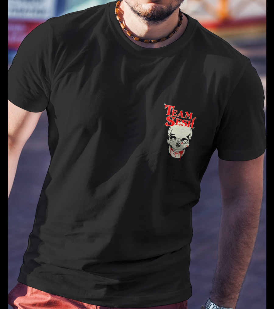 Team Sesh Skull Faces Of Sesh Pullover Hood T-Shirt