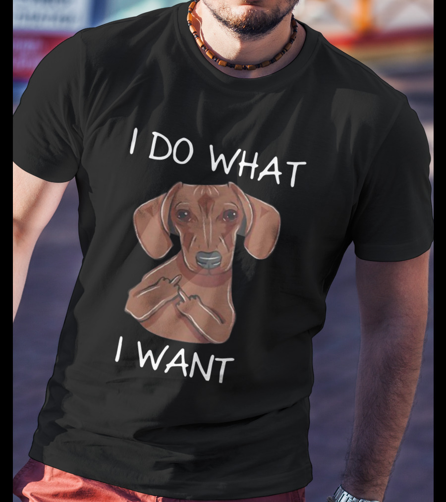 Dachshund I Do What I Want Funny Dachshund I Want T-Shirt