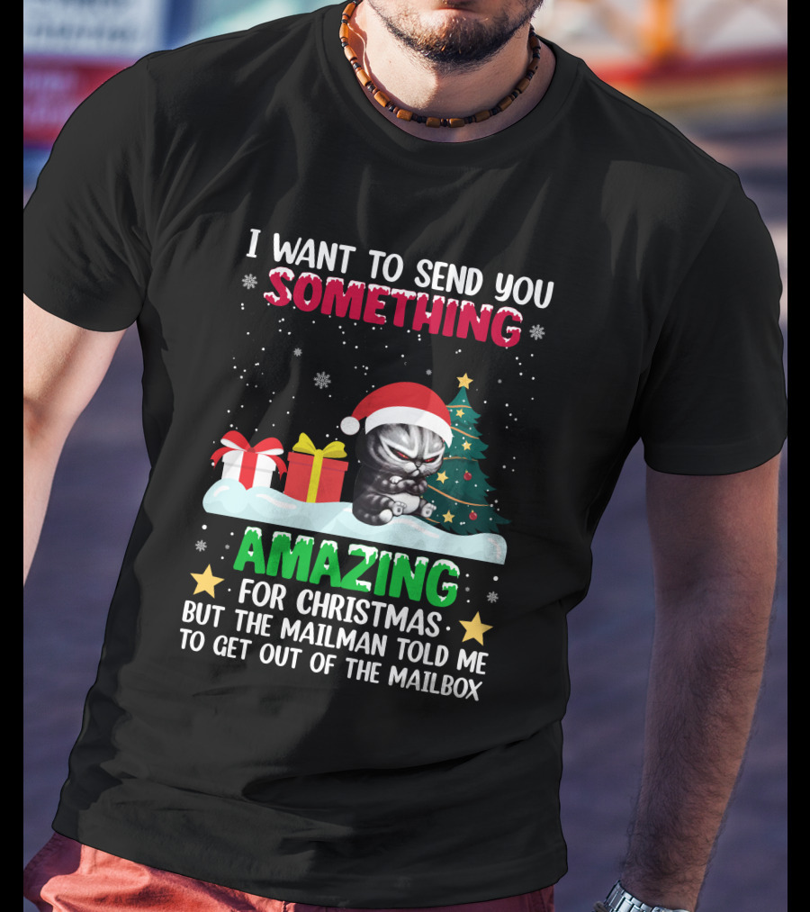 I Want To Send You Something Amazing For Christmas But The Mailman Told Me To Get Out Of The Mailbox Cat T-Shirt