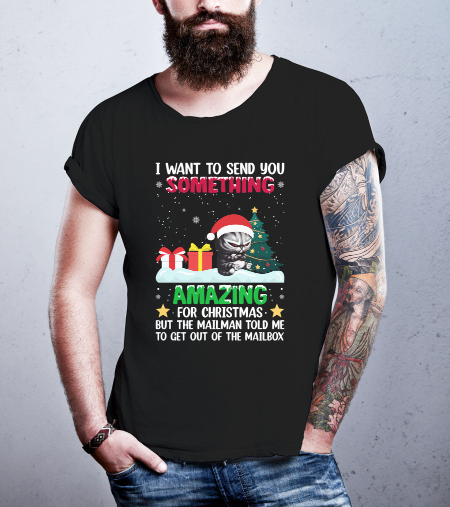 I Want To Send You Something Amazing For Christmas But The Mailman Told Me To Get Out Of The Mailbox Cat T-Shirt