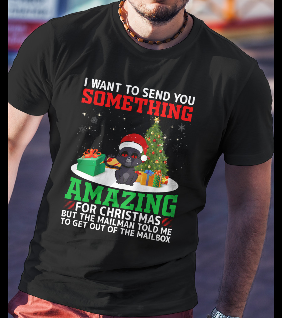 I Want To Send You Something Amazing For Christmas But The Mailman Told Me To Get Out Of The Mailbox T-Shirt