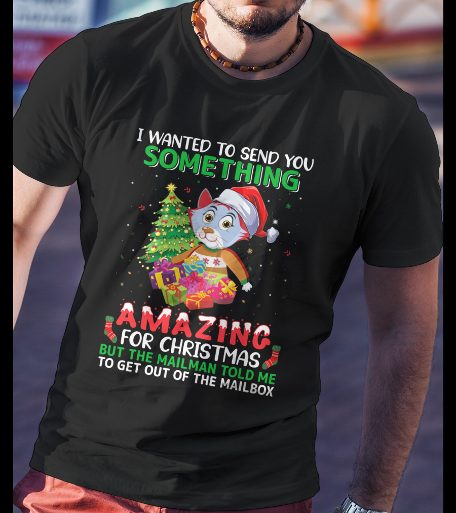 I Wanted To Send You Something Amazing For Christmas But The Mailman Told Me To Get Out Of The Mailbox T-Shirt