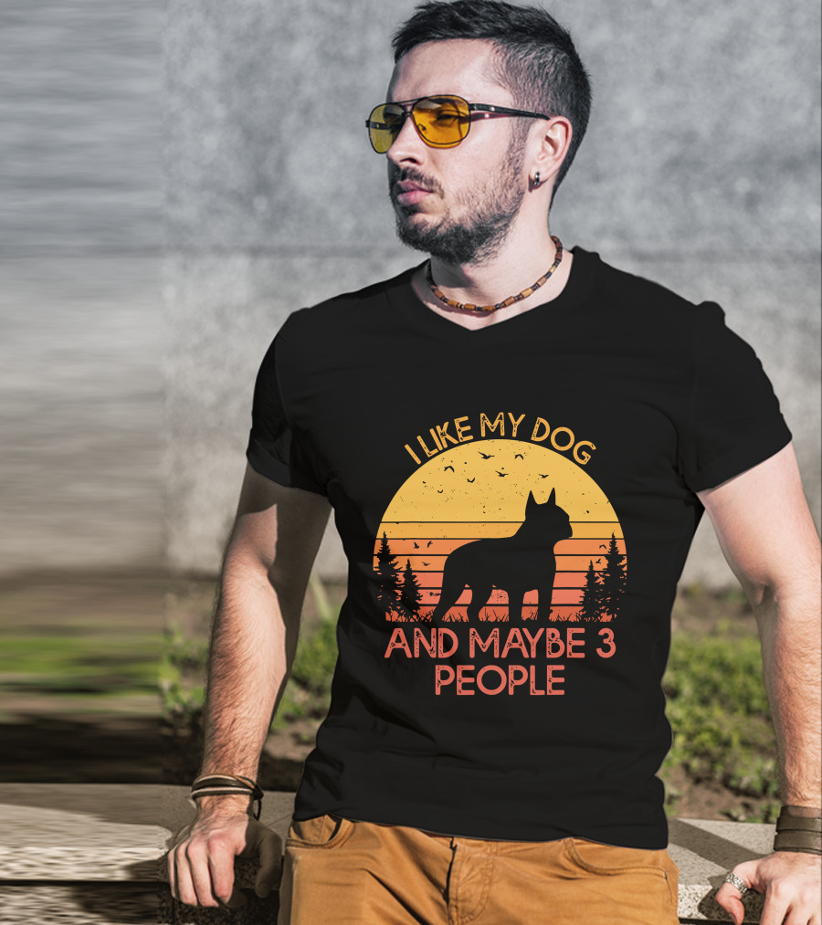 I Like My Dog And Maybe 3 People Sunset Silhouette With Trees And Birds T-Shirt