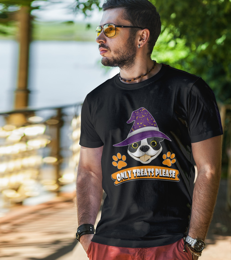 Boston Terrier Only Treats Please Wizard Hat And Paw Prints T-Shirt