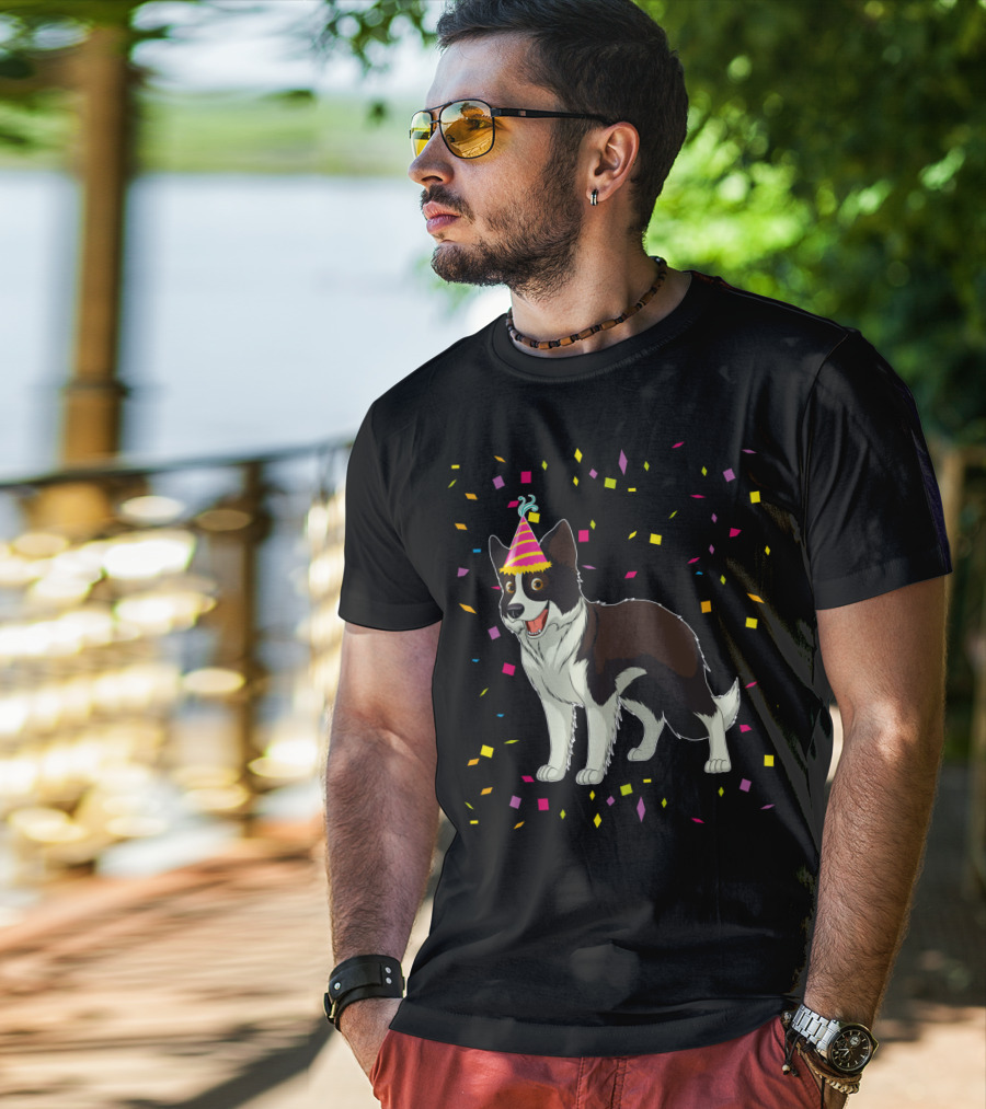 Funny Border Collie Birthday Party Hat Confetti T-Shirt