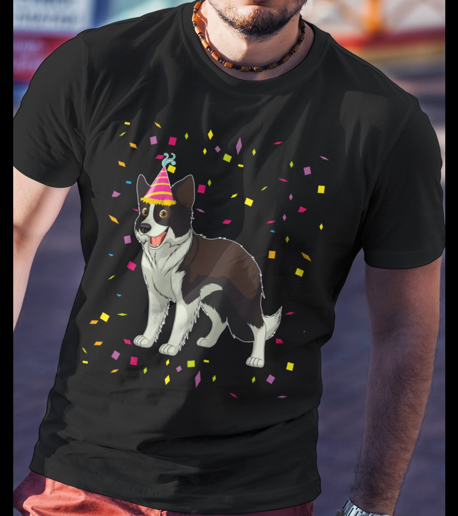 Funny Border Collie Birthday Party Hat Confetti T-Shirt