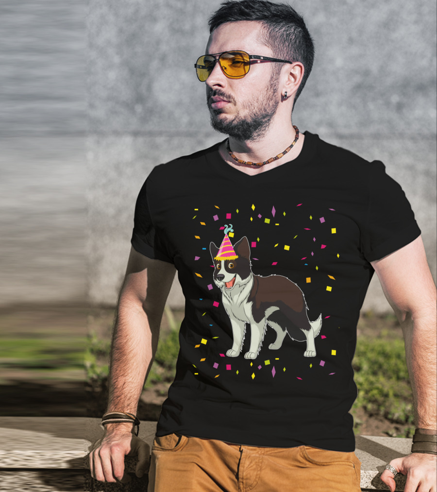 Funny Border Collie Birthday Party Hat Confetti T-Shirt