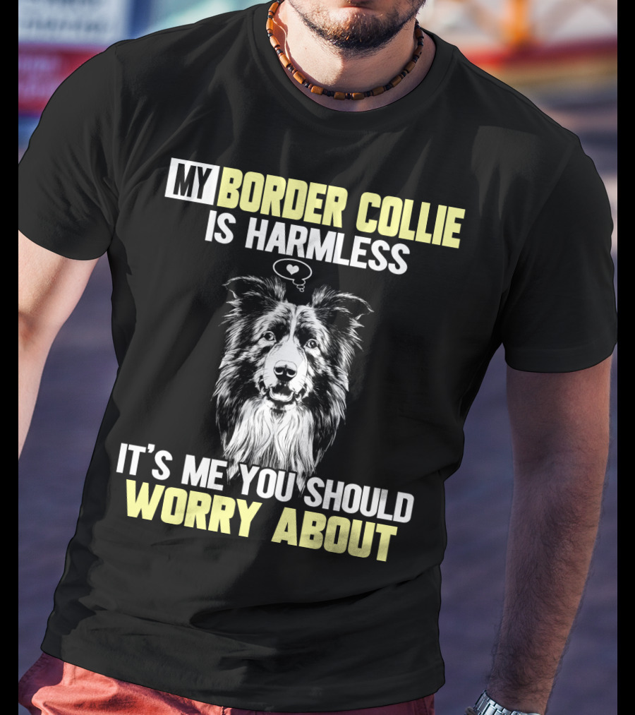 My Border Collie Is Harmless It's ME You Should Worry About T-Shirt