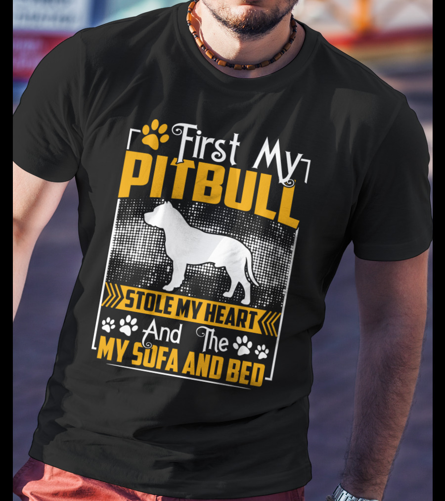 First My Pitbull Stole My Heart And Then My Sofa And Bed T-Shirt