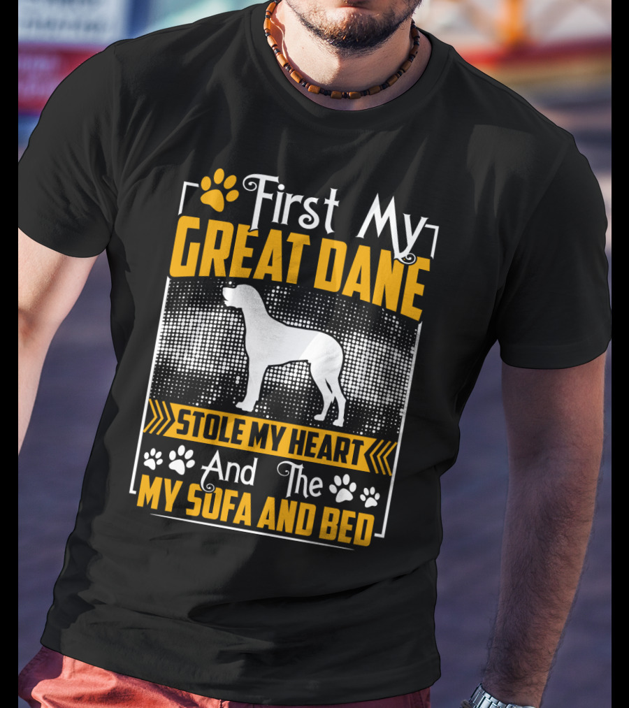 First My Great Dane Stole My Heart And Then My Sofa And Bed T-Shirt