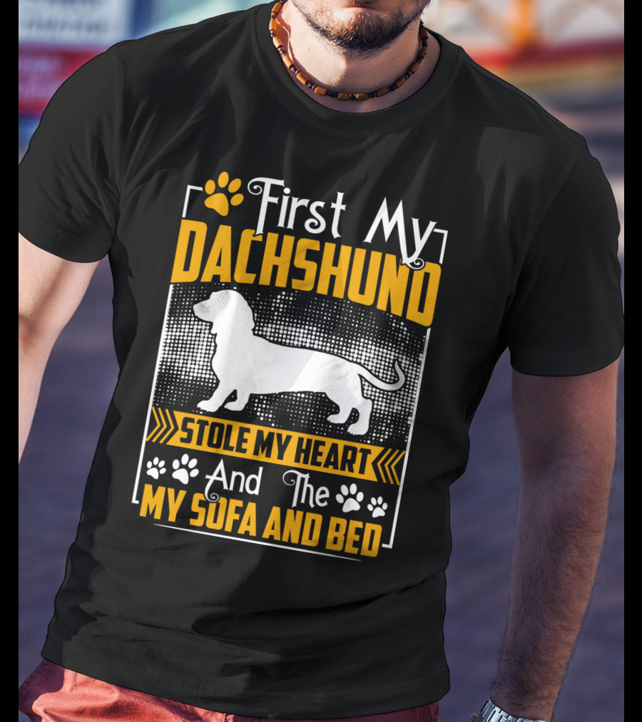 First My Dachshund Stole My Heart And Then My Sofa And Bed T-Shirt