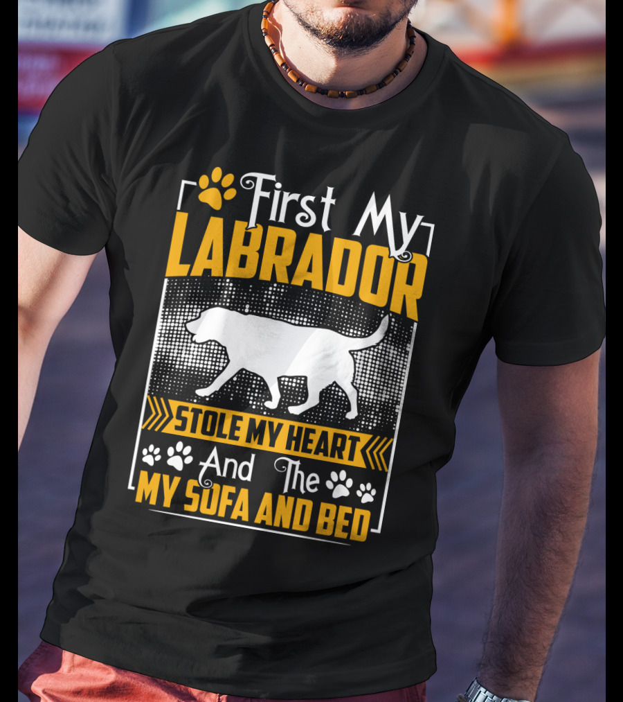 First My Labrador Stole My Heart And Then My Sofa And Bed T-Shirt