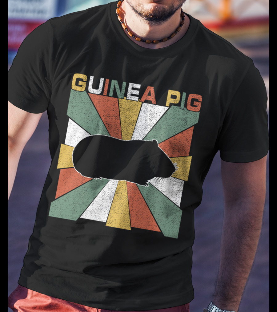 Guinea Pig Retro 70s Silhouette With Vintage Color Block T-Shirt