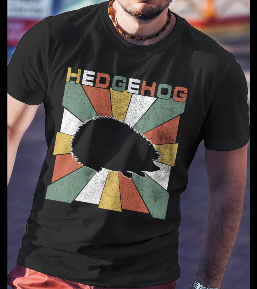 Hedgehog Retro 70s Silhouette Vintage Stripe Burst T-Shirt