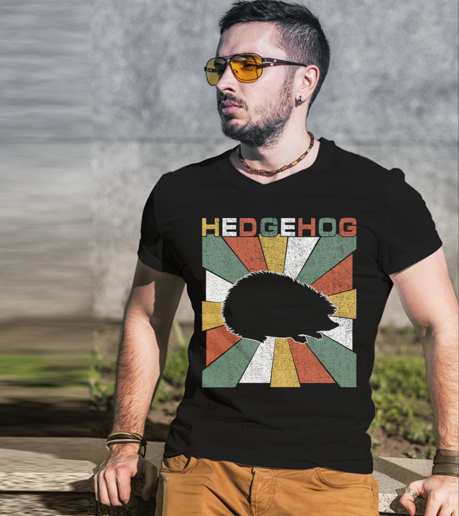 Hedgehog Retro 70s Silhouette Vintage Stripe Burst T-Shirt