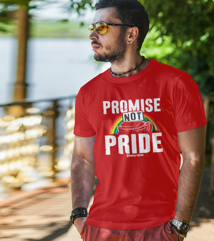 Promise Not Pride Noah's Ark Rainbow Bryson Gray T-Shirt