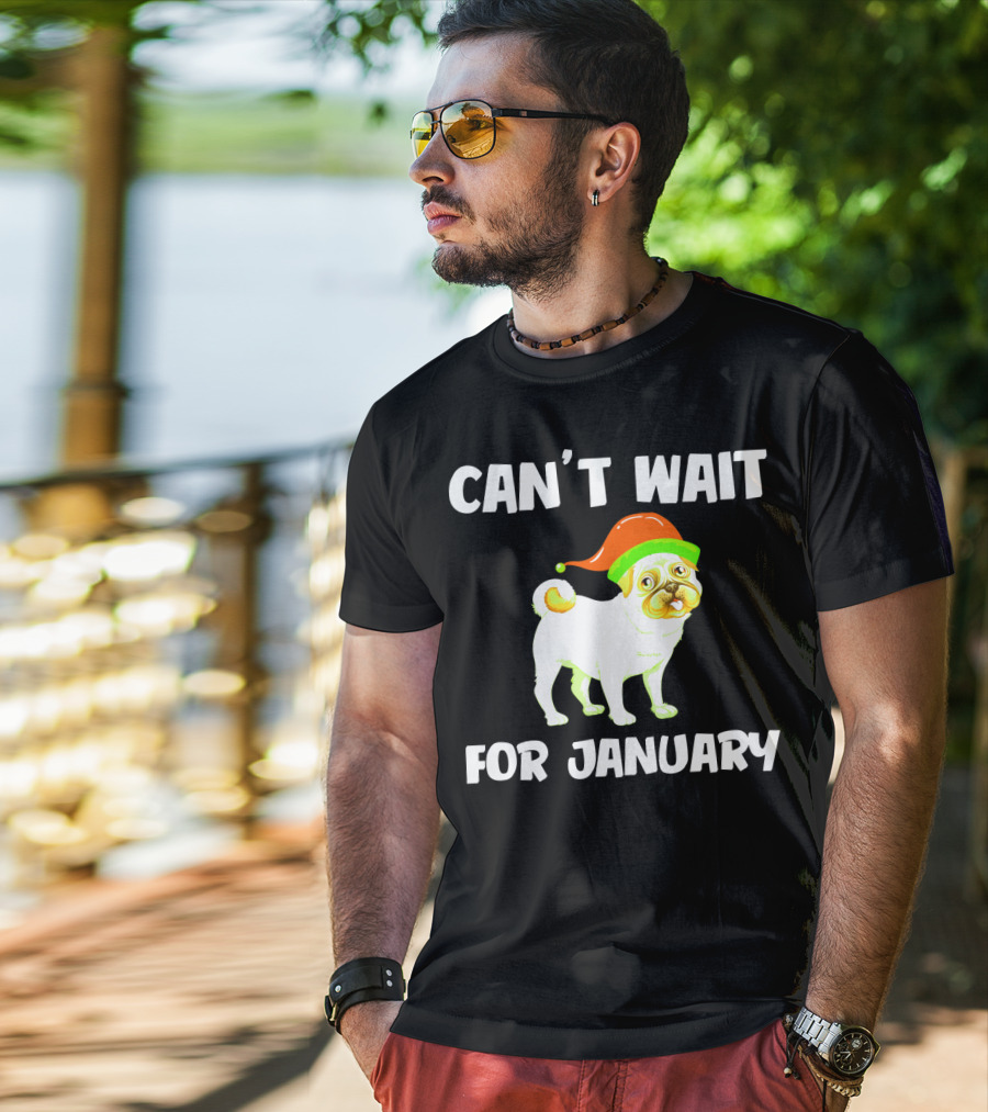 Can't Wait For January Pug IN Festive Hat T-Shirt