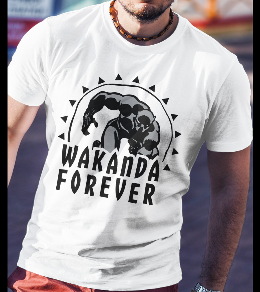 Marvel Black Panther Wakanda Forever Sun Triangles Hero Pose T-Shirt