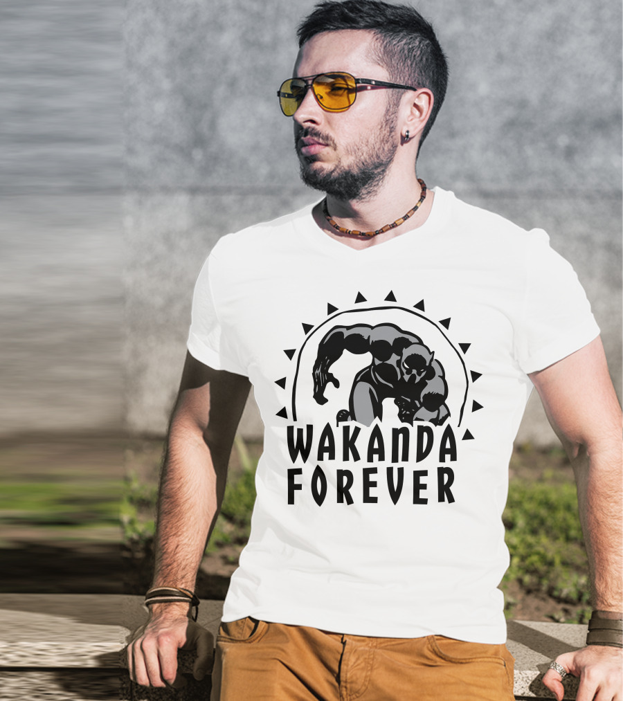 Marvel Black Panther Wakanda Forever Sun Triangles Hero Pose T-Shirt