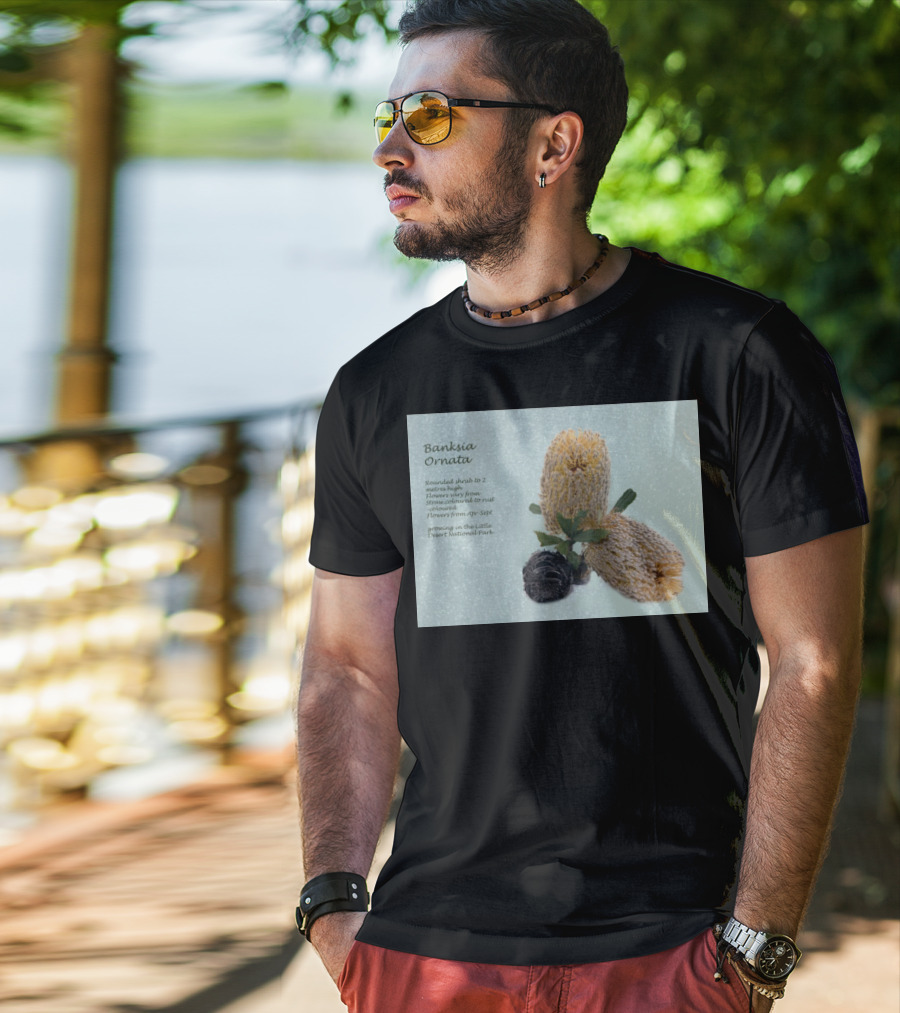 Banksia Ornata Rounded Shrubs Little Desert National Park Flowers T-Shirt