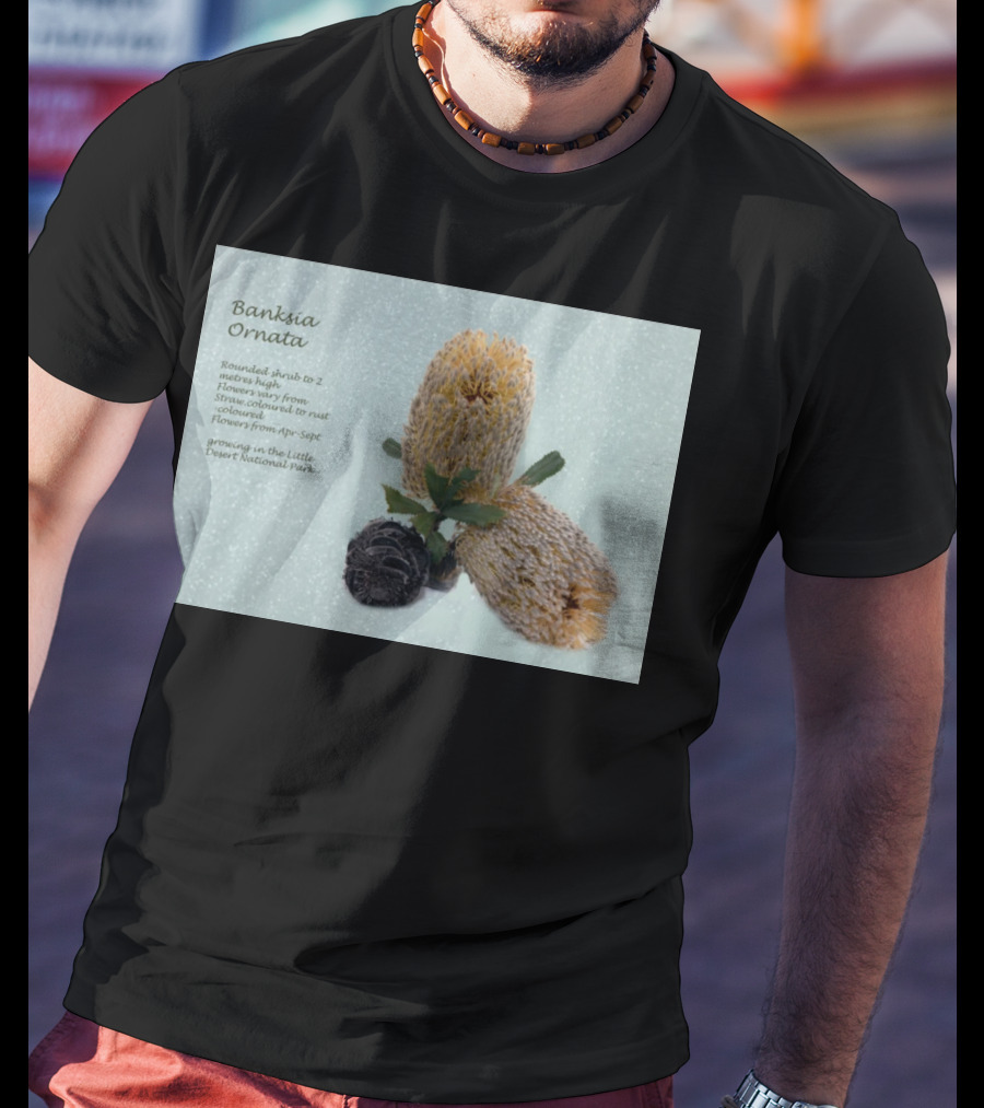 Banksia Ornata Rounded Shrubs Little Desert National Park Flowers T-Shirt