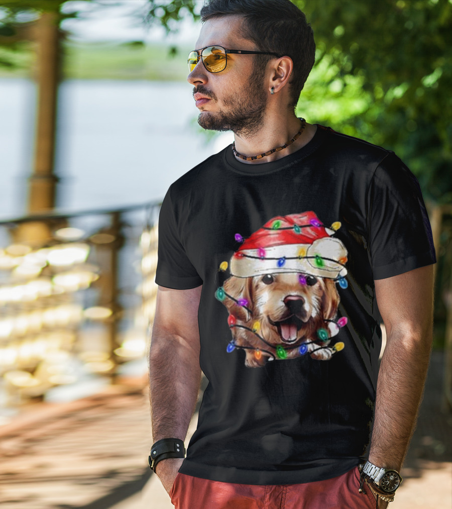 Christmas Lights Dog Lover Santa Hat Raglan T-Shirt