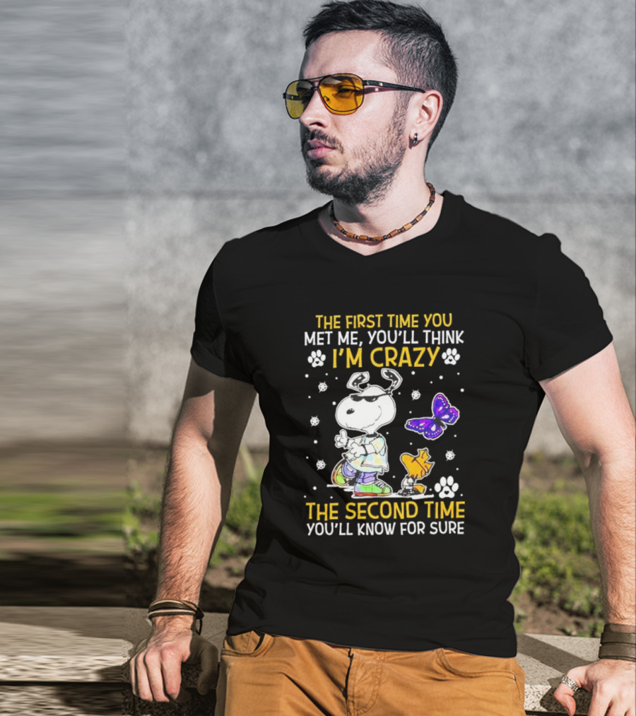 Snoopy And Woodstock The First Time You Met Me You'll Think I'm Crazy The Second Time You'll Know For Sure T-Shirt